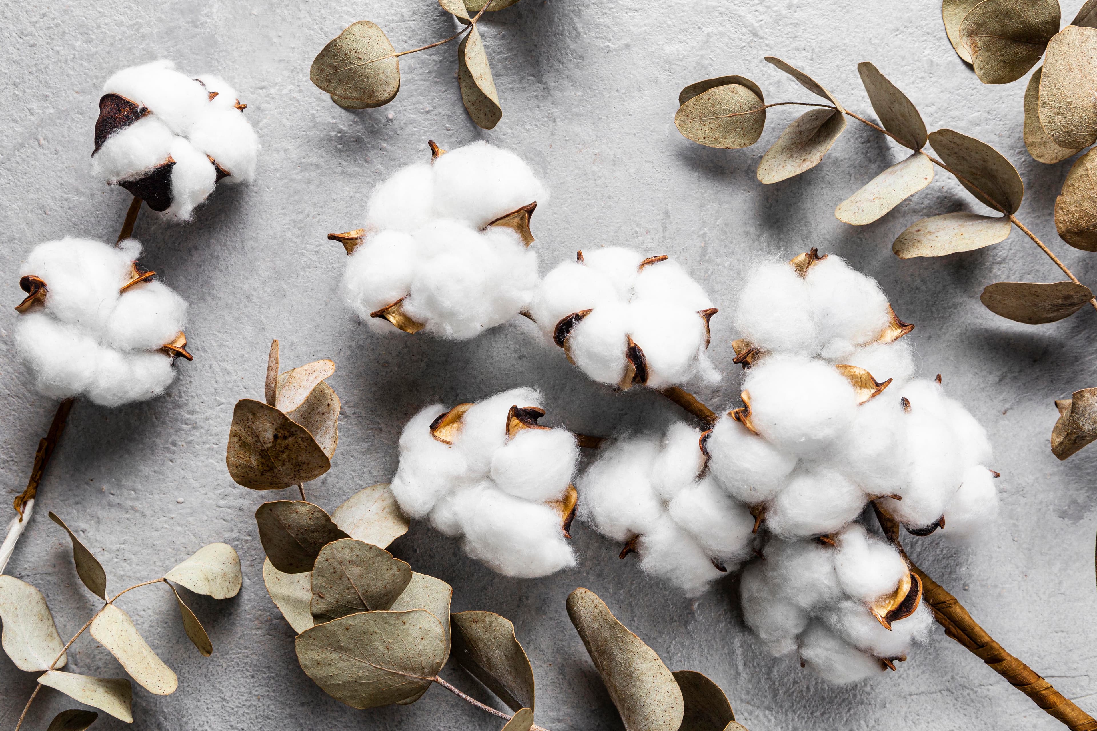 Cotton Sourcing